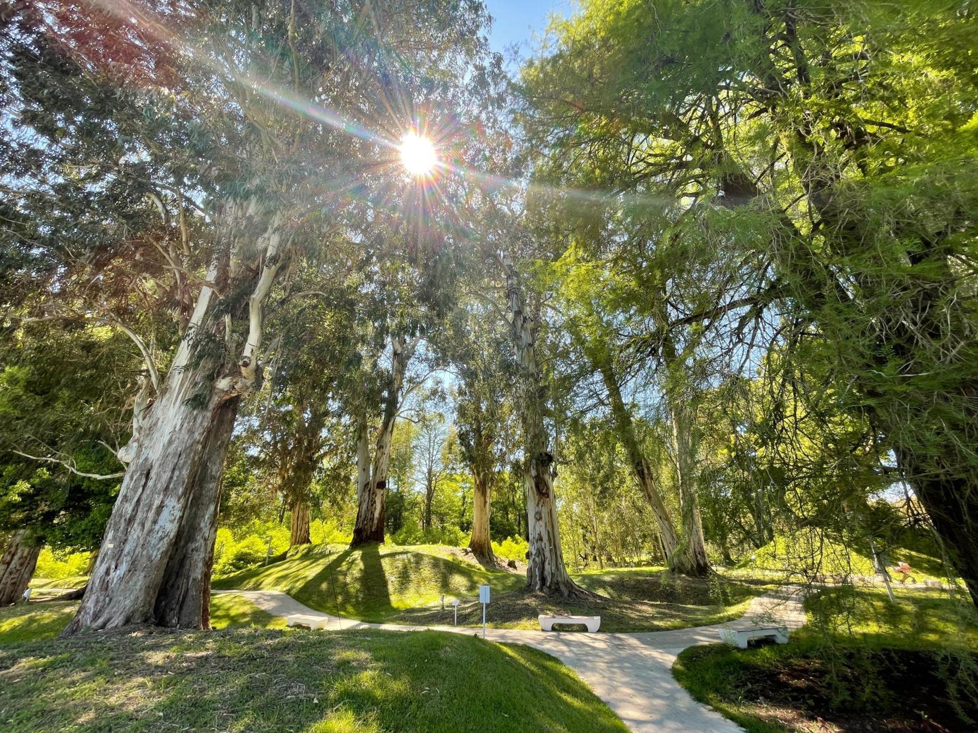 Villa Story Hotel Sjekhvetili Eksteriør bilde